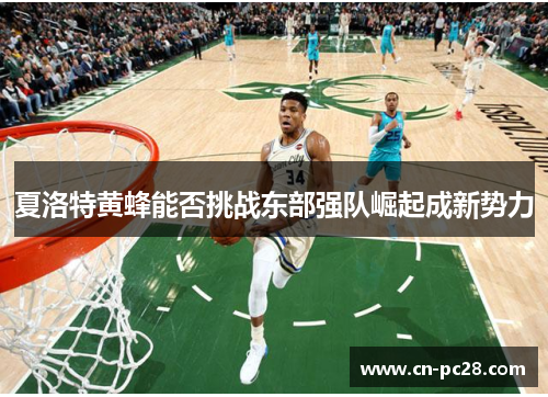 夏洛特黄蜂能否挑战东部强队崛起成新势力 夏洛特黄蜂能否挑战东部强队崛起成新势力
