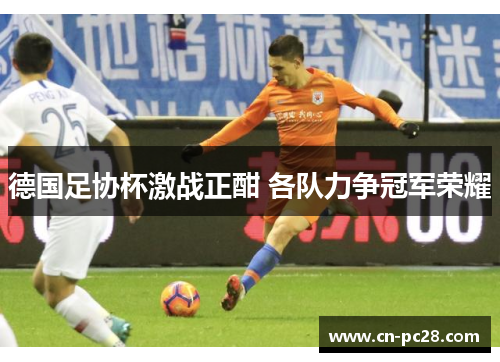 德国足协杯激战正酣 各队力争冠军荣耀 德国足协杯激战正酣 各队力争冠军荣耀