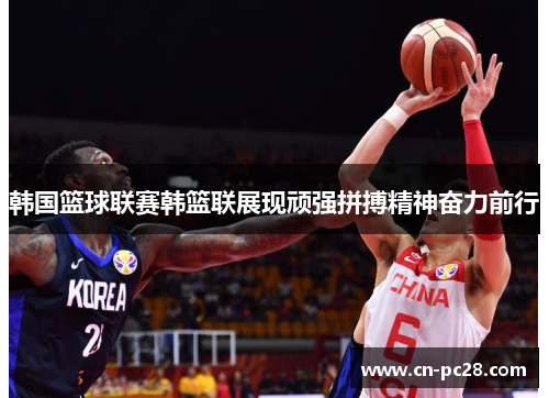 韩国篮球联赛韩篮联展现顽强拼搏精神奋力前行 韩国篮球联赛韩篮联展现顽强拼搏精神奋力前行