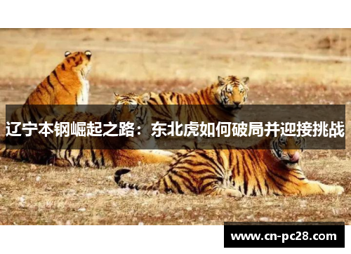 辽宁本钢崛起之路:东北虎如何破局并迎接挑战 辽宁本钢崛起之路:东北虎如何破局并迎接挑战